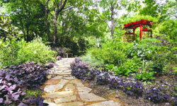 Artistic Gardenscapes, landscaping in Dallas, TX